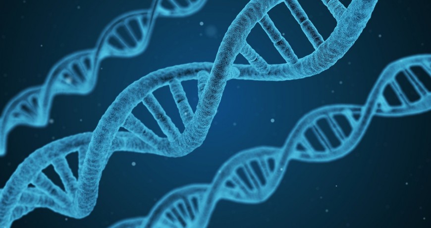 Genètica-Biologia Molecular i Patologies Hereditàries